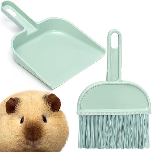 Cage Cleaner for Guinea Pigs Mini Dustpan and Brush Set