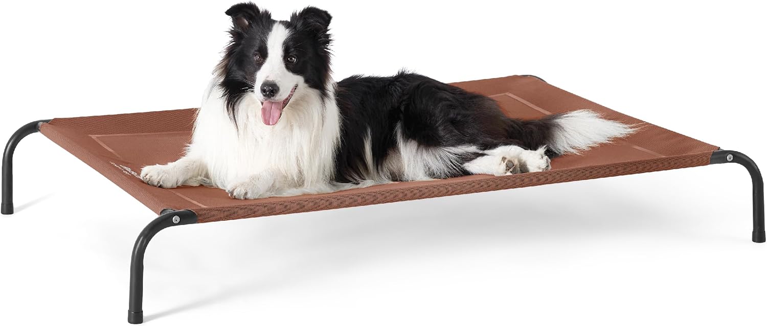 Bedsure Elevated Raised Cooling Cots Bed for Large Dogs, Portable Indoor & Outdoor Pet Hammock with Skid-Resistant Feet, Frame with Breathable Mesh, Terracotta, 49 inches 49.0"L x 31.5"W x 8.0"Th Terracotta