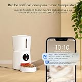 Ver la foto 7