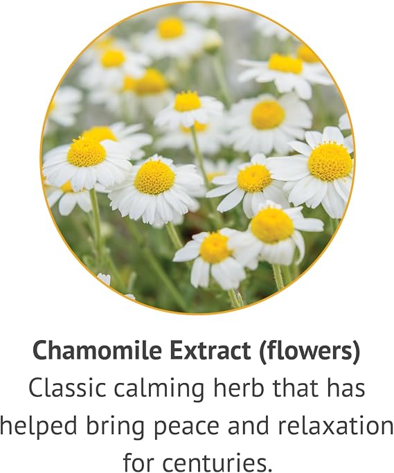 Botanic Choice Chamomile Flower Alcohol Free Liquid Extract, 1 Fluid Ounce