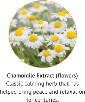 Botanic Choice Chamomile Flower Alcohol Free Liquid Extract, 1 Fluid Ounce