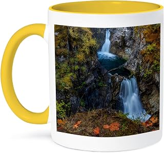 3dRose Coffee Mug, Size - 15oz - Little Qualicum Falls Provincial Park near Parksville, B.C., Canada Waterfalls - funny coffee cup gift