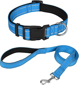 Reflective 6FT Dog Leash and 10"-15.5" Dog Collar Set, Soft Padded Basic Collar and Padded Handle Leash for Small Dogs, Aqua Blue
