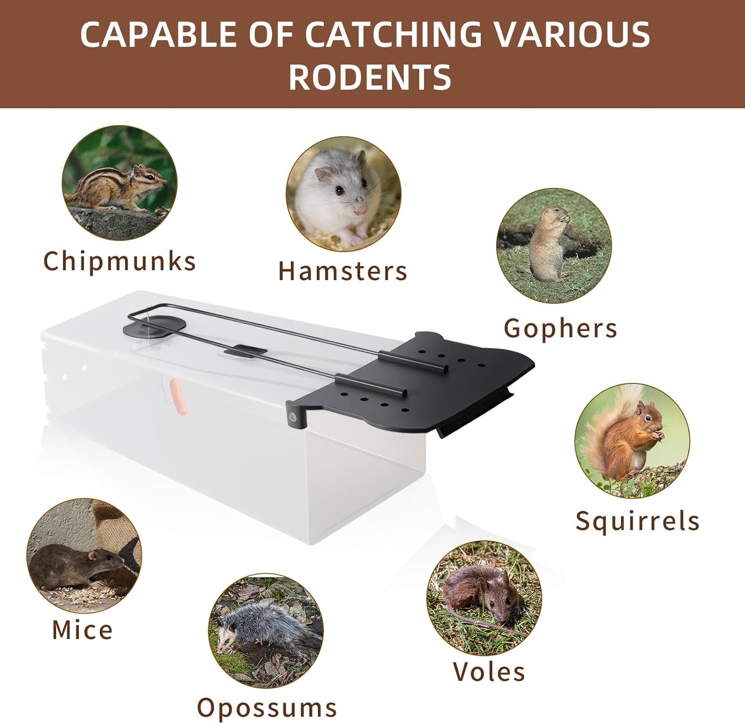 2 Packs Humane Rat Trap - Live Mouse Traps Humane for Indoor & Outdoor Use, Easy to Catch & Release Rats & Mice, Reusable Rodent Trap with Gloves and Forceps for Home, Yard, Garage (9.37*5.2*3.74in)