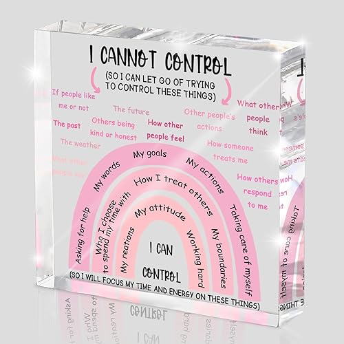 Mental Health I Can Control Decor, 4x4 Inch Pink Acrylic,