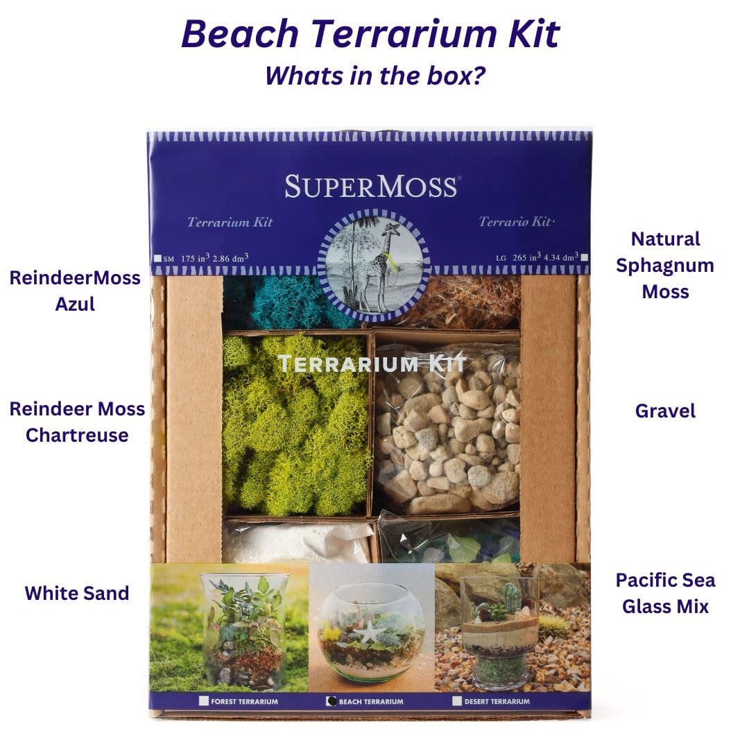 Amazon.com: SuperMoss (90422) Beach Terrarium DIY Kit – Create