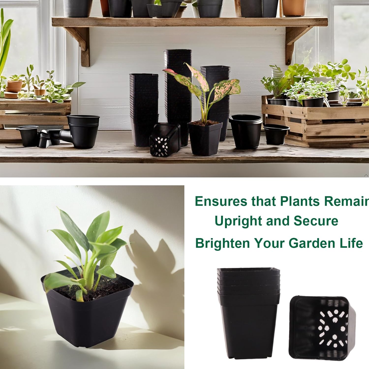 200 Packs Square Nursery Pots for Plants 2.8 Inch Succulent Plant Pots Set Plastic Seedling Starting Pots with Drainage Holes Nursery Pots Variety Pack Flower pots Planter Seed Starter, Black - Image 5