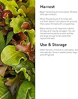 Vista 4 de Burpee Sweet Salad Mix Mesclun Seeds 750 semillas