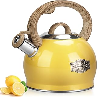 Stovetop Whistling Tea Kettle, Stainless Steel