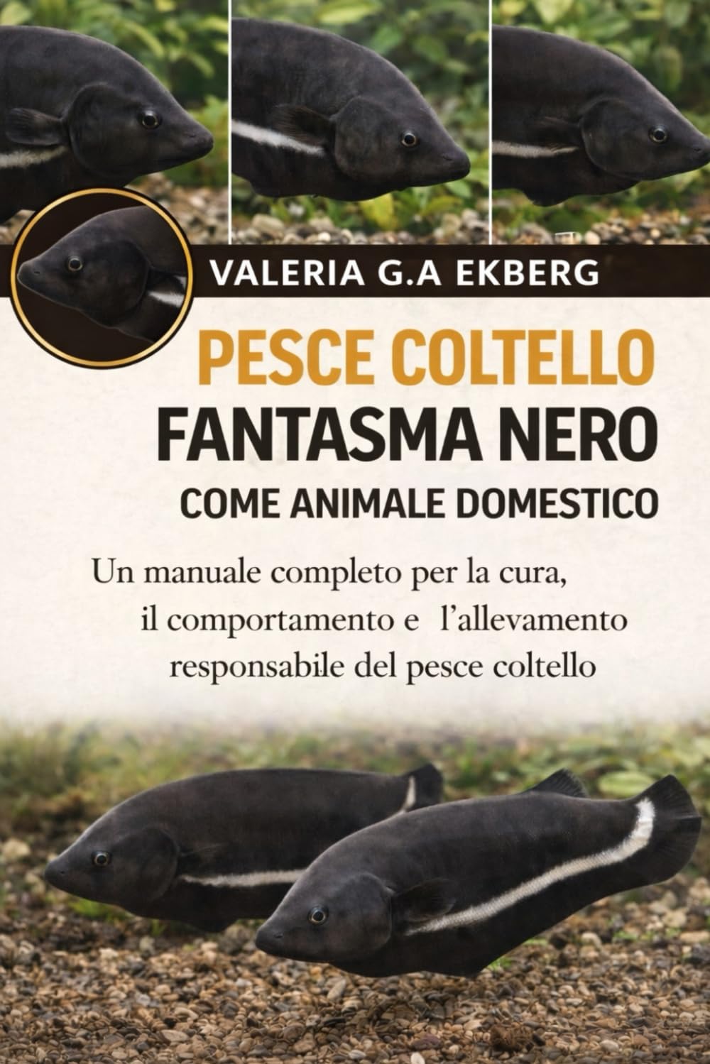 PESCE COLTELLO FANTASMA NERO COME ANIMALE DOMESTICO: Un manuale completo per la cura, il comportamento e l'allevamento responsabile del pesce coltello