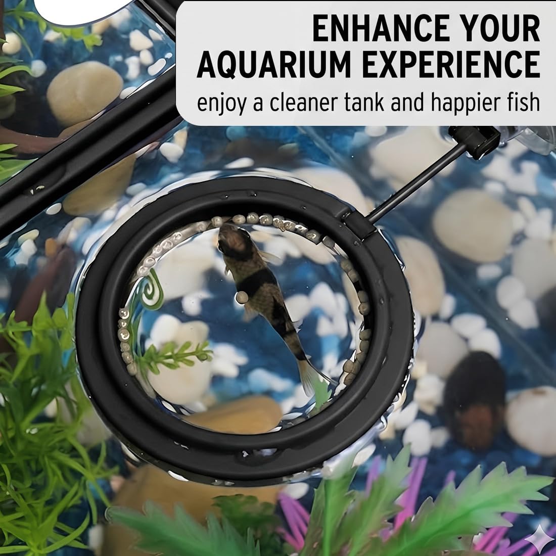 4 Pezzi Anelli di Mangime per Acquario, anello flottante tondo e quadrato per pesci, per betta, guppy e tartarughe, nero