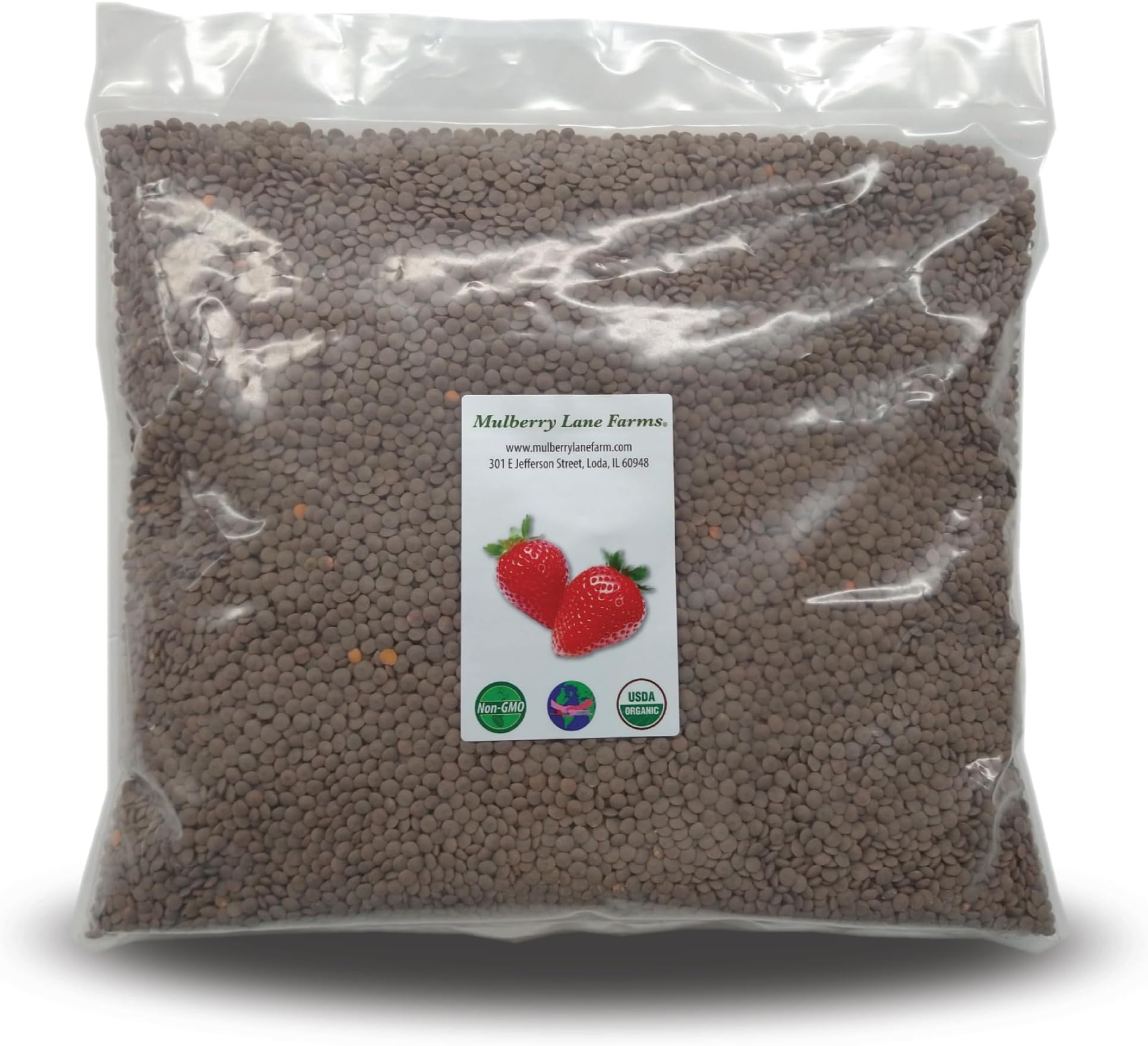 Brown Lentils, Small, 5 Pounds USDA Certified Organic, Non-GMO, Bulk, Product of USA, Mulberry Lane Farms
