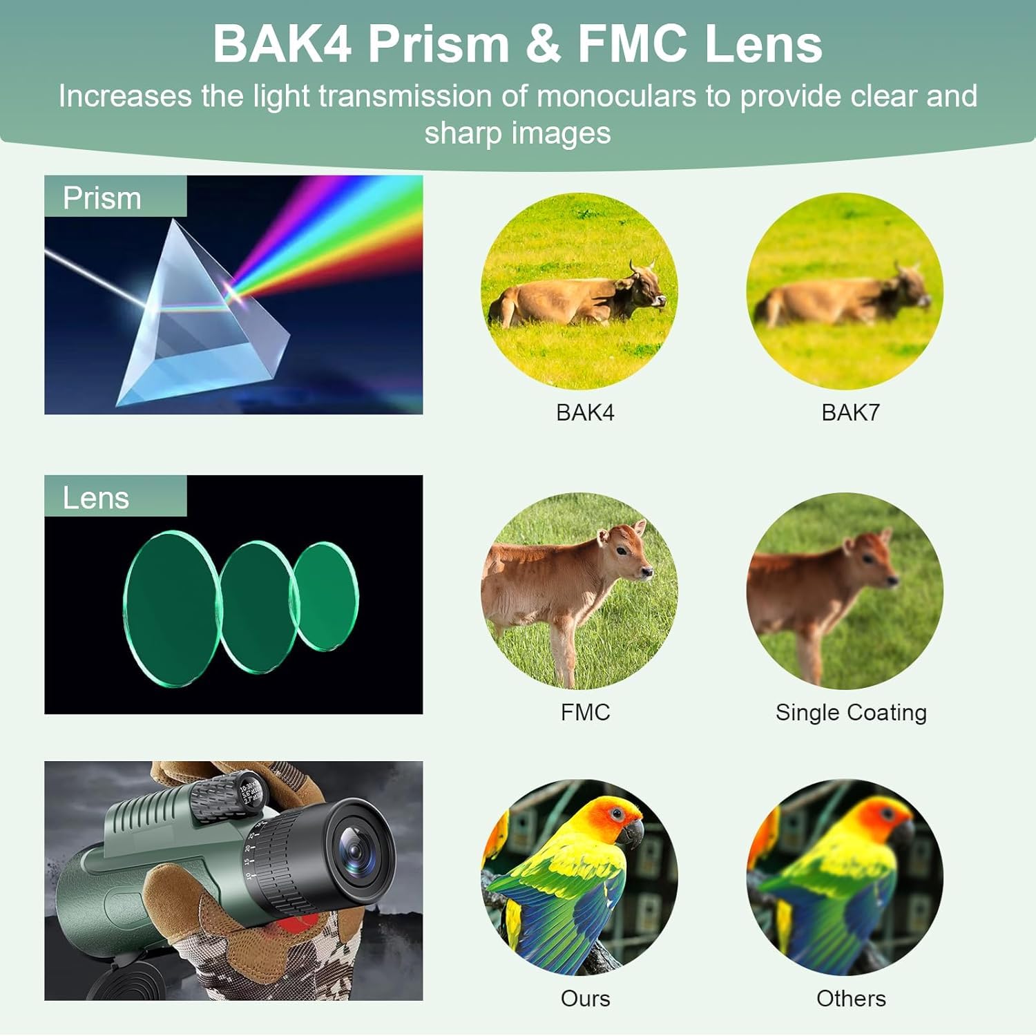 Monocular, 10-30x50 Monocular Telescope, für Erwachsene und Kinder, FMC BAK4 Prisma, Monokular klein, für sportveranstaltungen Vogelbeobachtung Reisen Jagd Konzert Sport im Freien
