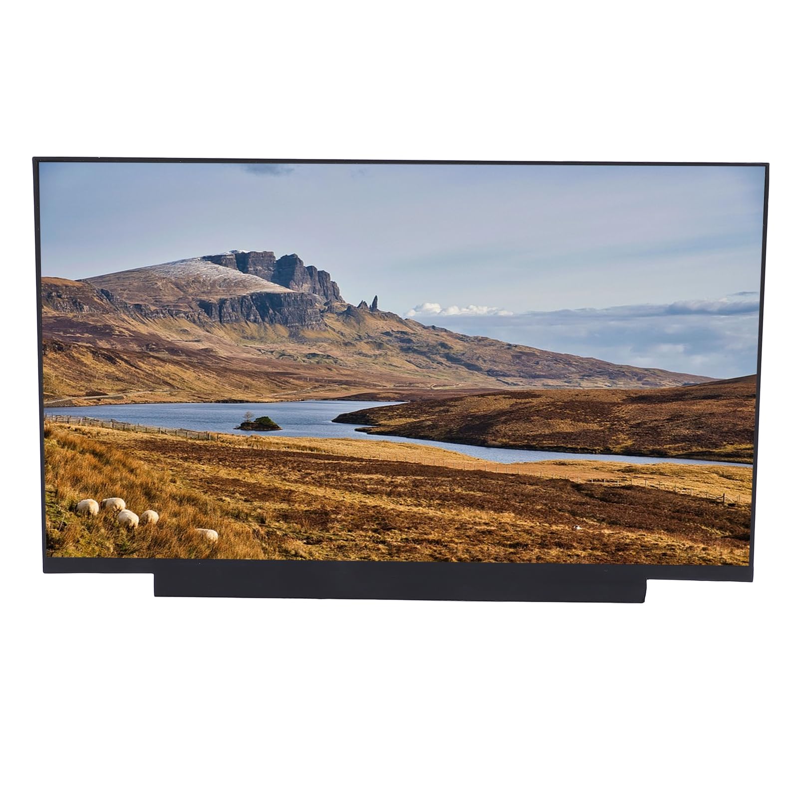 Topiky Pantalla No Táctil de 40 Pines de Grado Profesional de Reemplazo de Pantalla LCD de 14 Pulgadas para Usuarios de Portátiles