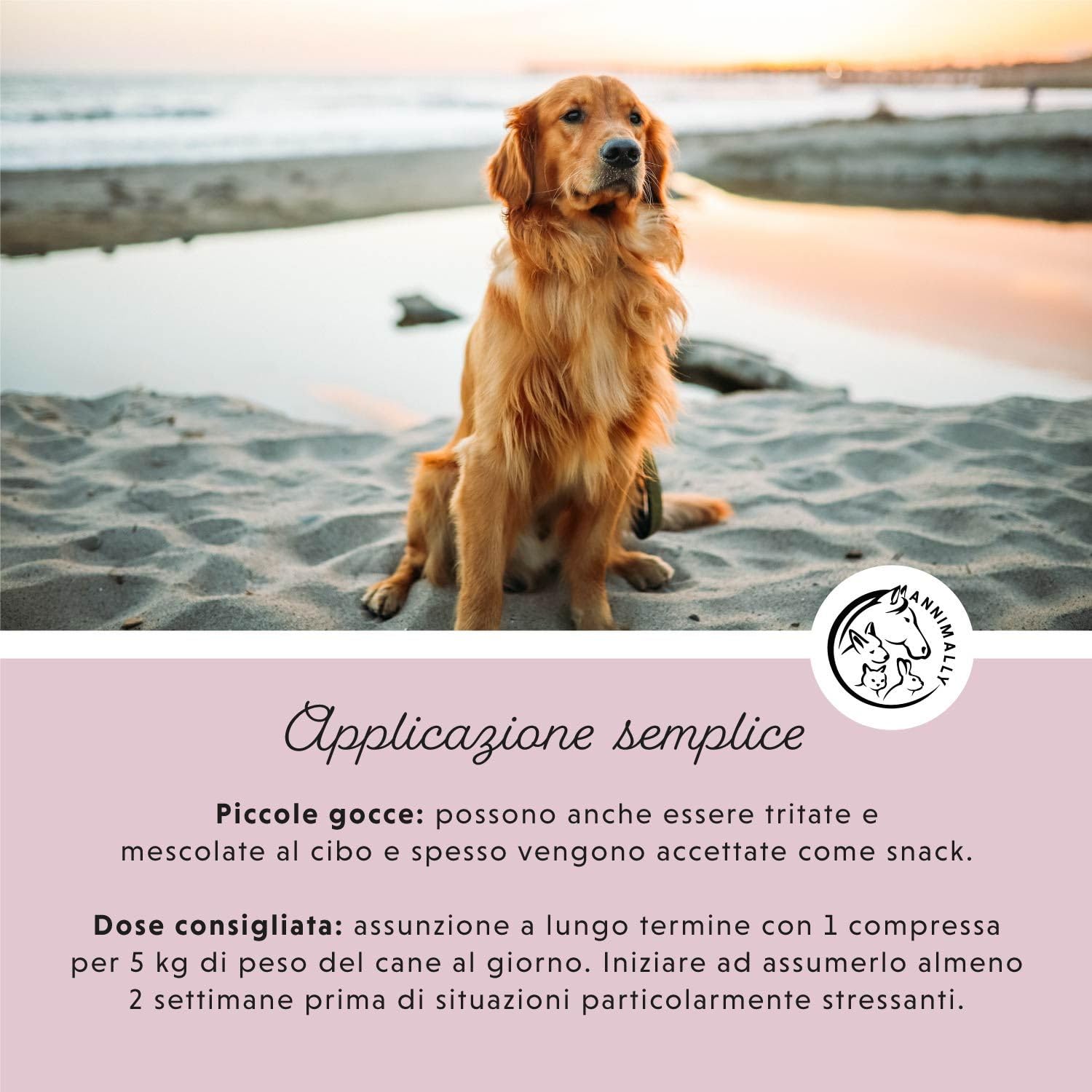 Compresse calmante per cani - Compresse integratori per cane con valeriana per cani, iperico, L-triptofano - 250 Compresse XL² per ansia, stress e viaggio - Calmanti per cani