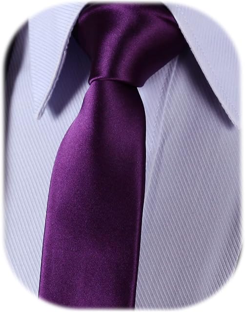 HISDERN Mens 2.16" Skinny Tie Solid Color/Paisley/Dot Casual Slim Necktie for Men (5.5cm)