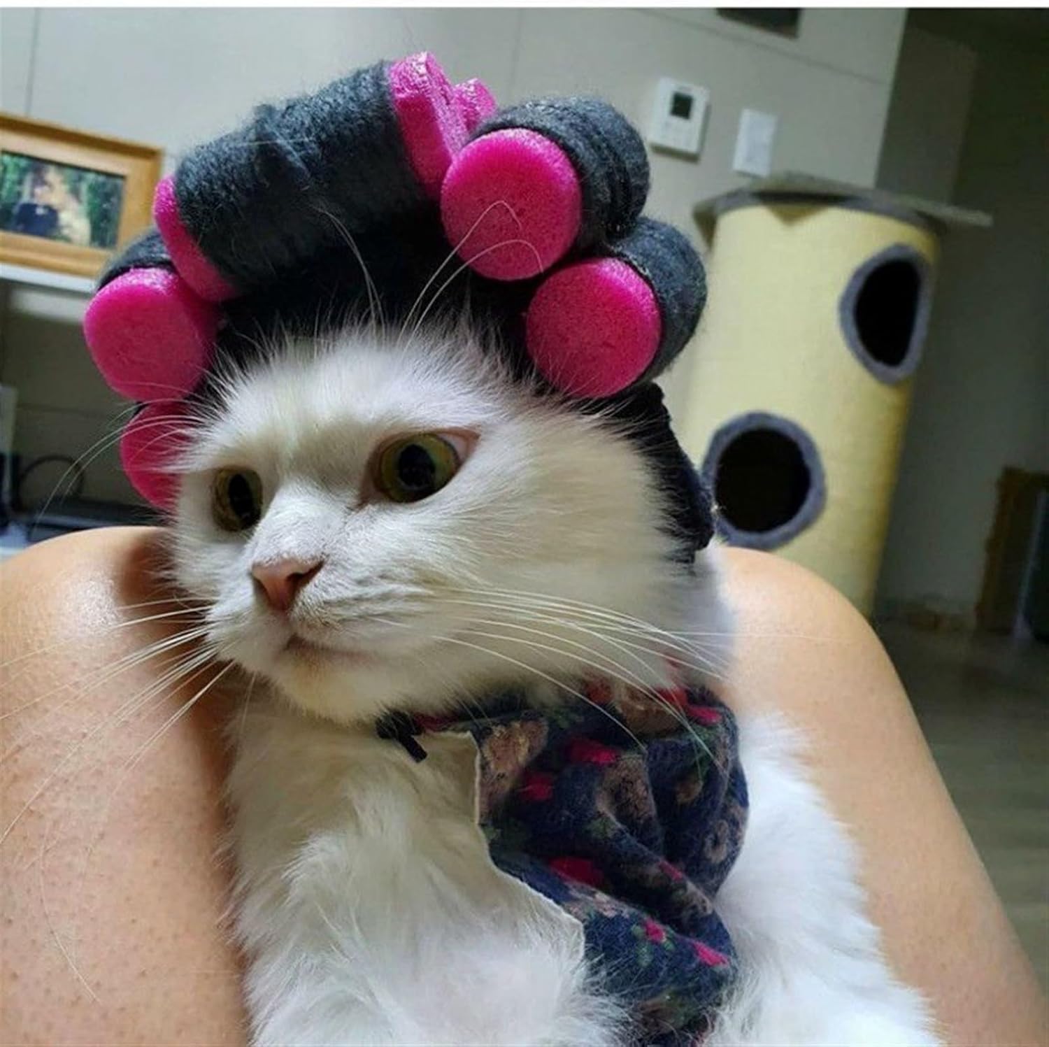 Pet Hair Costume Pet Wig, Dog Cat Hat, Cute Small Dog Head Cover, Pet Photo Headdress Accessories Props Funny Dog Cat Cosplay Wig (Color : A, Size : M)
