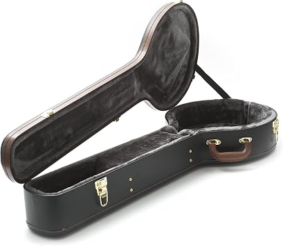 Epiphone 940EH60 5 String Banjo Hard Case
