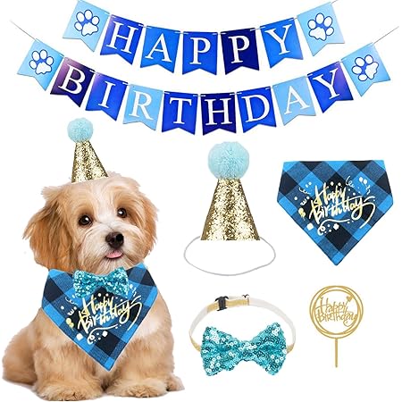 dog birthday items