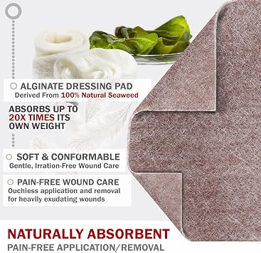 EVERLIT AG Silver Calcium Alginate Wound Dressing | Absorbent Non-Stick Sterile Dressing Pad | Gentle Gauze with Natural Gelling Fiber for Wound Care
