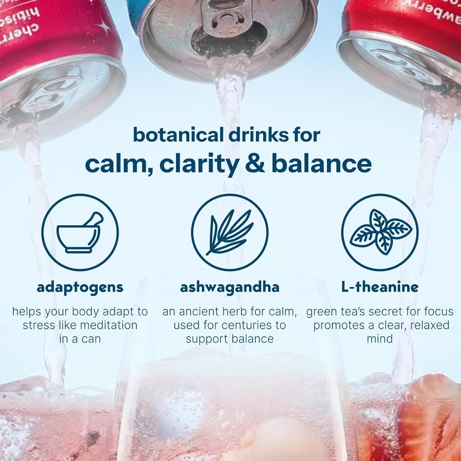 Moment Botanical Tea (Shark Tank) - Non Carbonated - Calm, Clarity & Relaxation with L-Theanine & Ashwagandha - Non Alcoholic Drinks - Sparkling Adaptogen Drink - 0 Sugar 0 Caffeine - 12 Pack 11.5 fl oz
