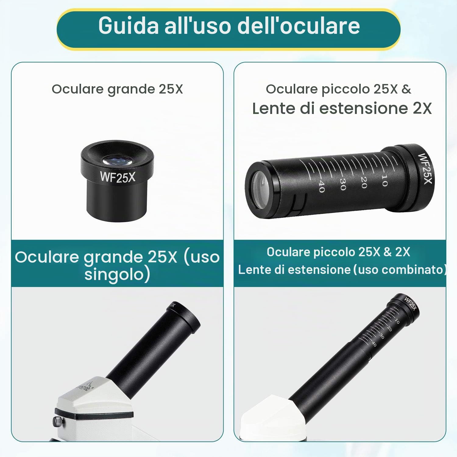 MAXLAPTER Microscopio 2000x a LED con righello mobile - Ottica da laboratorio con lame preparate e vergini - Adattatore per lenti