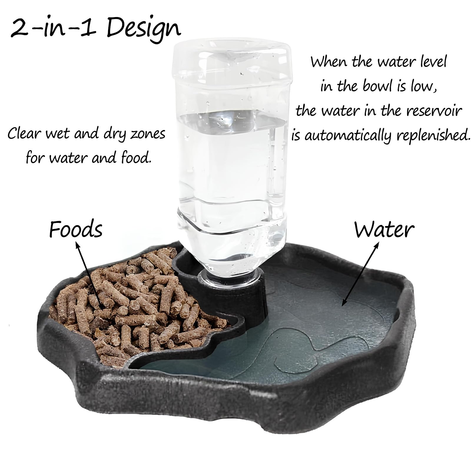Mangeoire à Eau pour Reptiles, Bol d'Eau pour Tortues, Geckos, Serpents