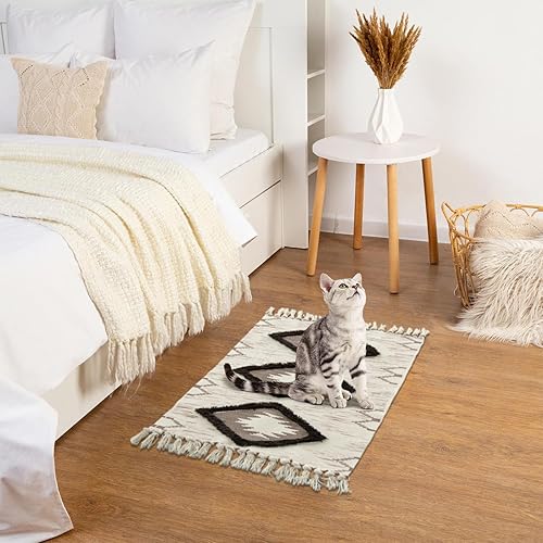 nanbowang Alfombra de pasillo bohemia de 2 x 3 pies, alfombra de pasillo lavable, alfombra de piso de cocina con borlas, alfombra de algodón tejido