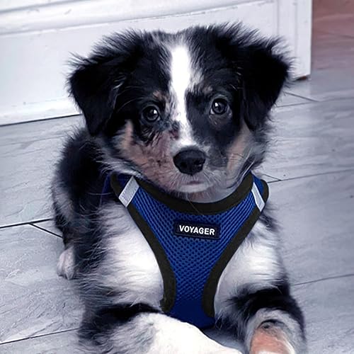 Vista 192 de Best Pet Supplies Voyager Step-in Air - Arnés de malla para todo tipo de clima, reflectante, antitirones, para perro y gato pequeño y mediano, Arnés