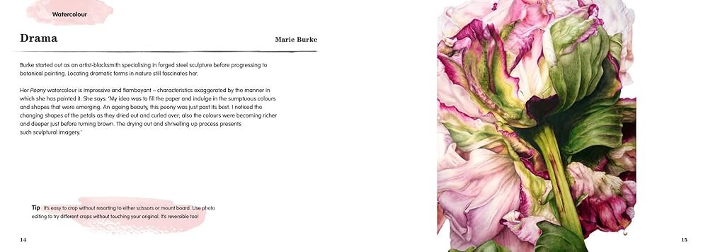 Just Draw Botanicals: Beautiful Botanical Art, Contemporary