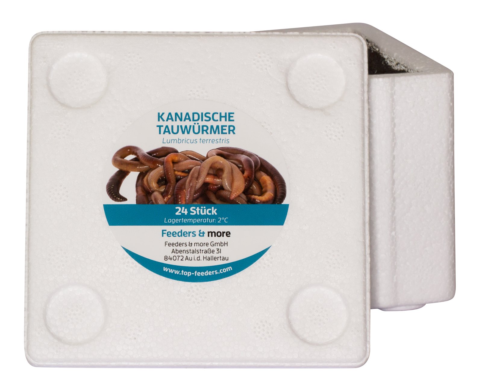 Feeders & more | Kanadische Tauwürmer | 480 Stück | lebender Angelköder | extra groß & aktiv | naturbelassen | Forellen-, Hecht- & Karpfenköder | Gute Haltbarkeit durch Lieferung in Styrobox