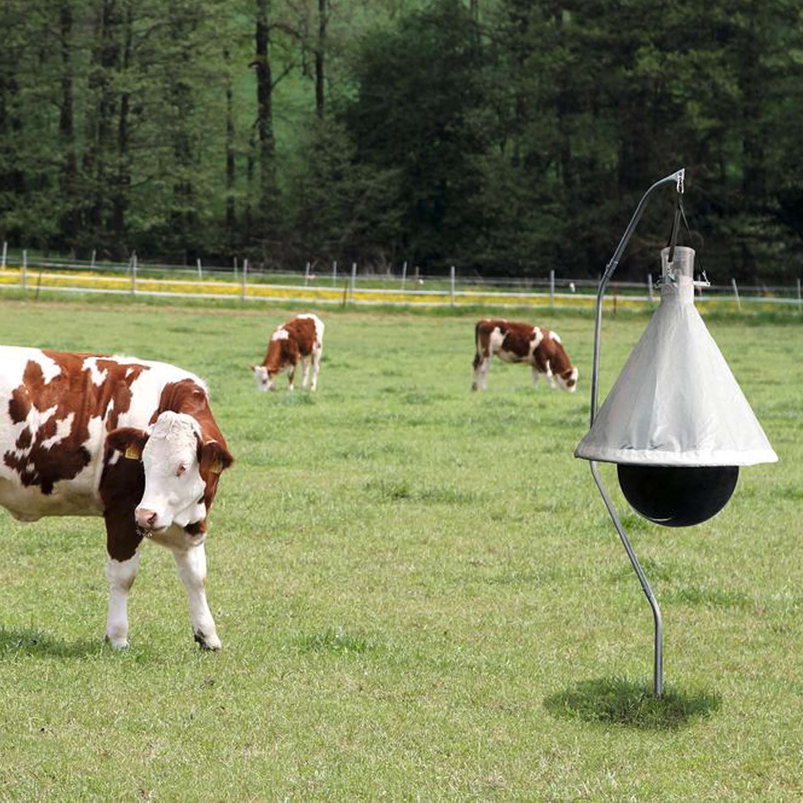Agrarzone Trappola per tafani - Con efficacia di cattura del 95%, ideale per la protezione dei cavalli - Robusta ed ecologica, per pascoli, stalle, giardini e maneggi