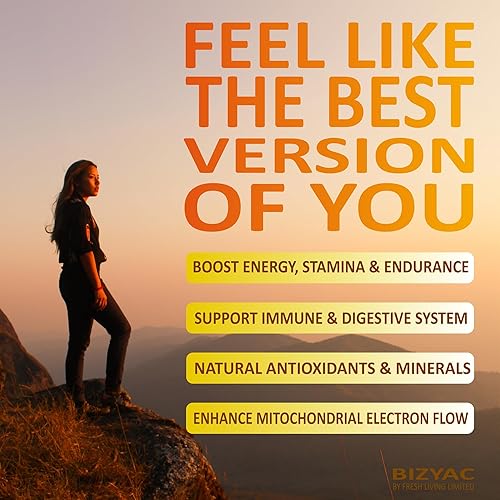 Miniatura 10 de Gomitas Shilajit orgánicas con musgo marino y ashwagandha  Extracto del Himalaya 100% puro con minerales traza, raíz de bardana y melena de león