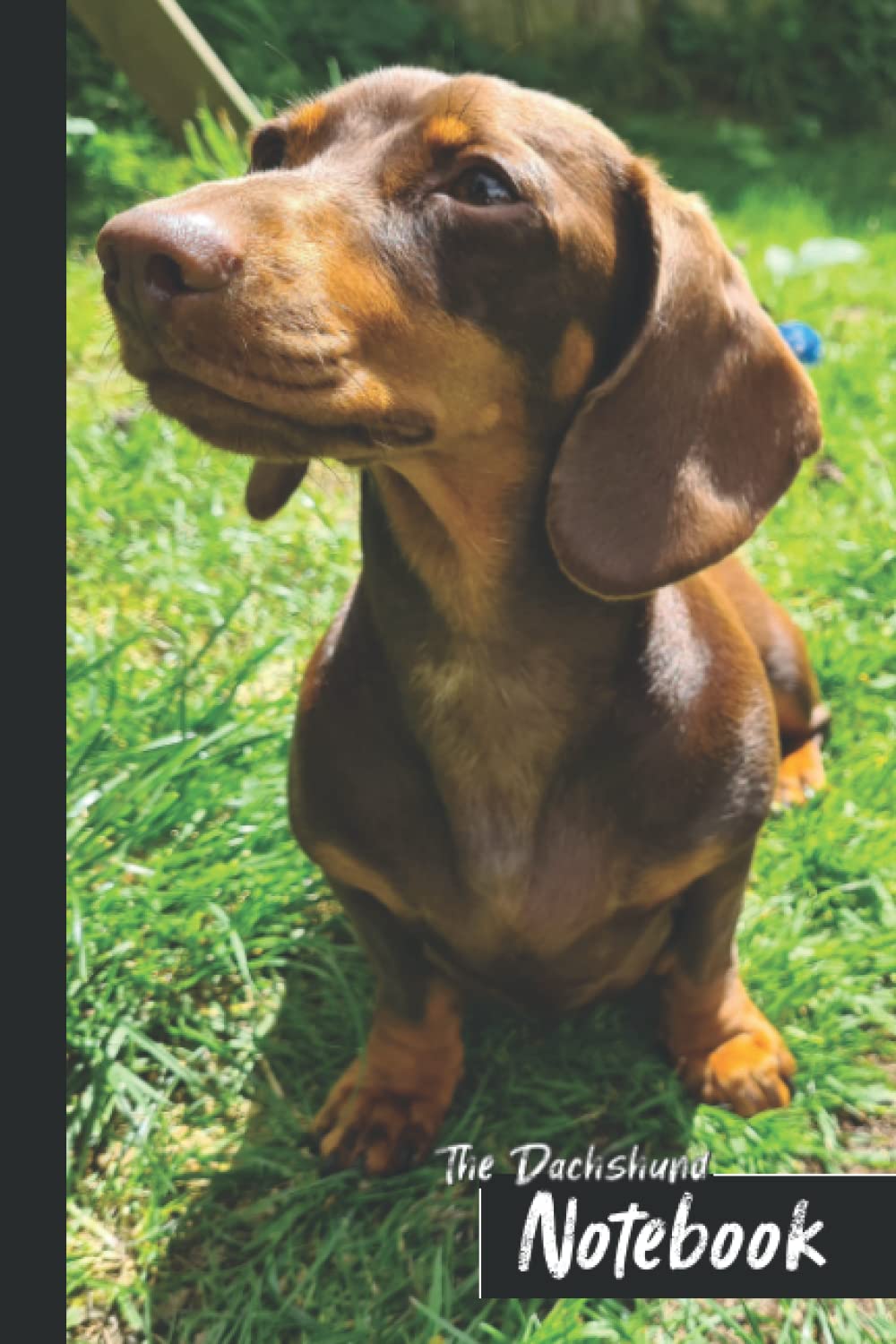 The Dachshund Notebook: Mini Dachshund Sausage Dog Blank Lined Notebook Journal