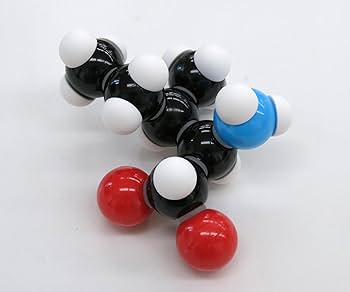 Dreiding model　ビュッヒ（Büchi）分子模型 Amazon | 生化学に関連する様々な分子構造を組み立て理解できる