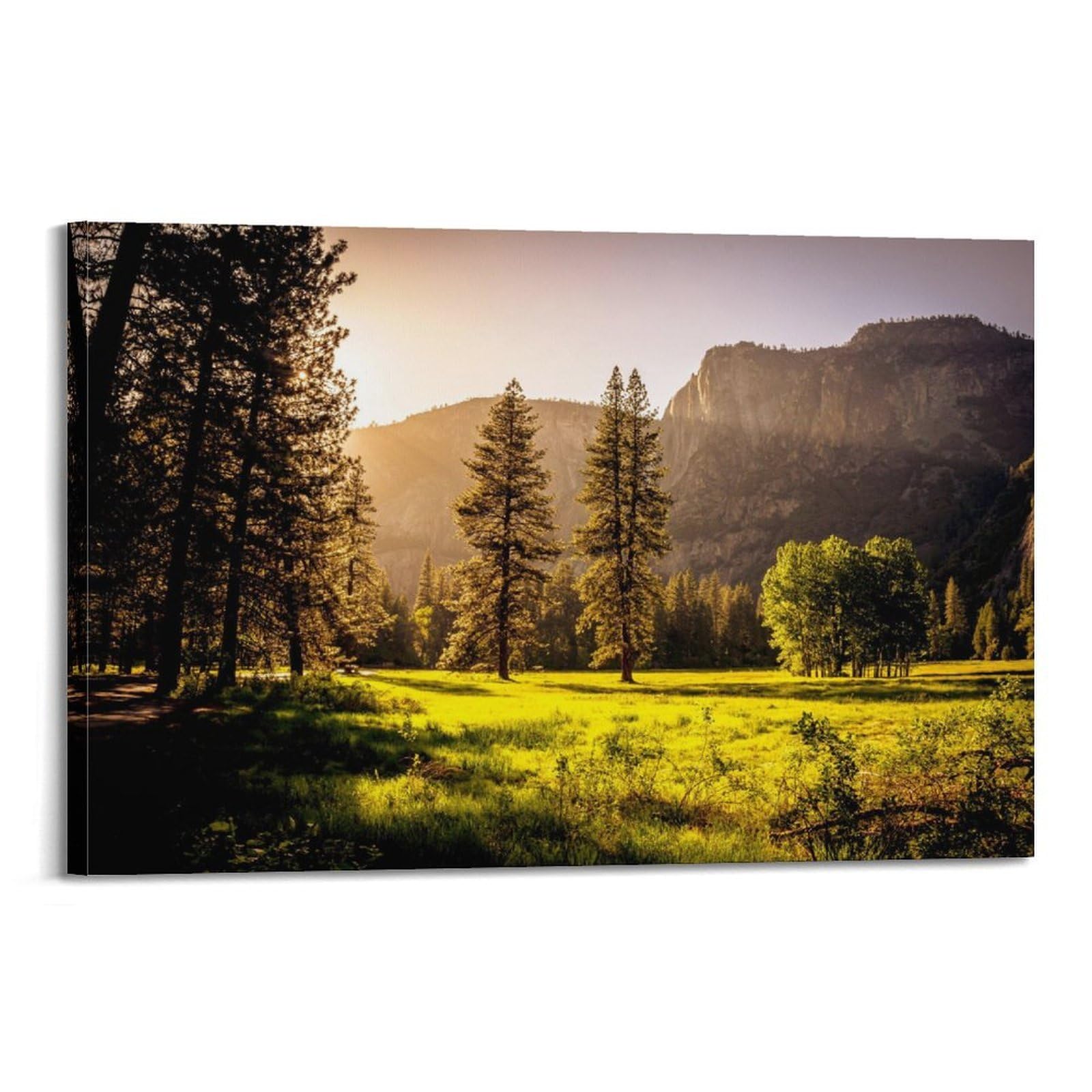 CXHJCA Mural Nature Poster Green Grass Field And Green Trees Scenery Poster Decorative Painting Canvas Wall Posters And Art Picture Print Modern Family Bedroom Decor Posters 24x36inch(60x90cm)
