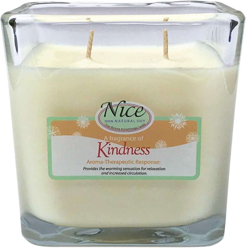 Kindness - Cinnamon Stick Soy Candle. Home Vase 20oz. Double Wick.