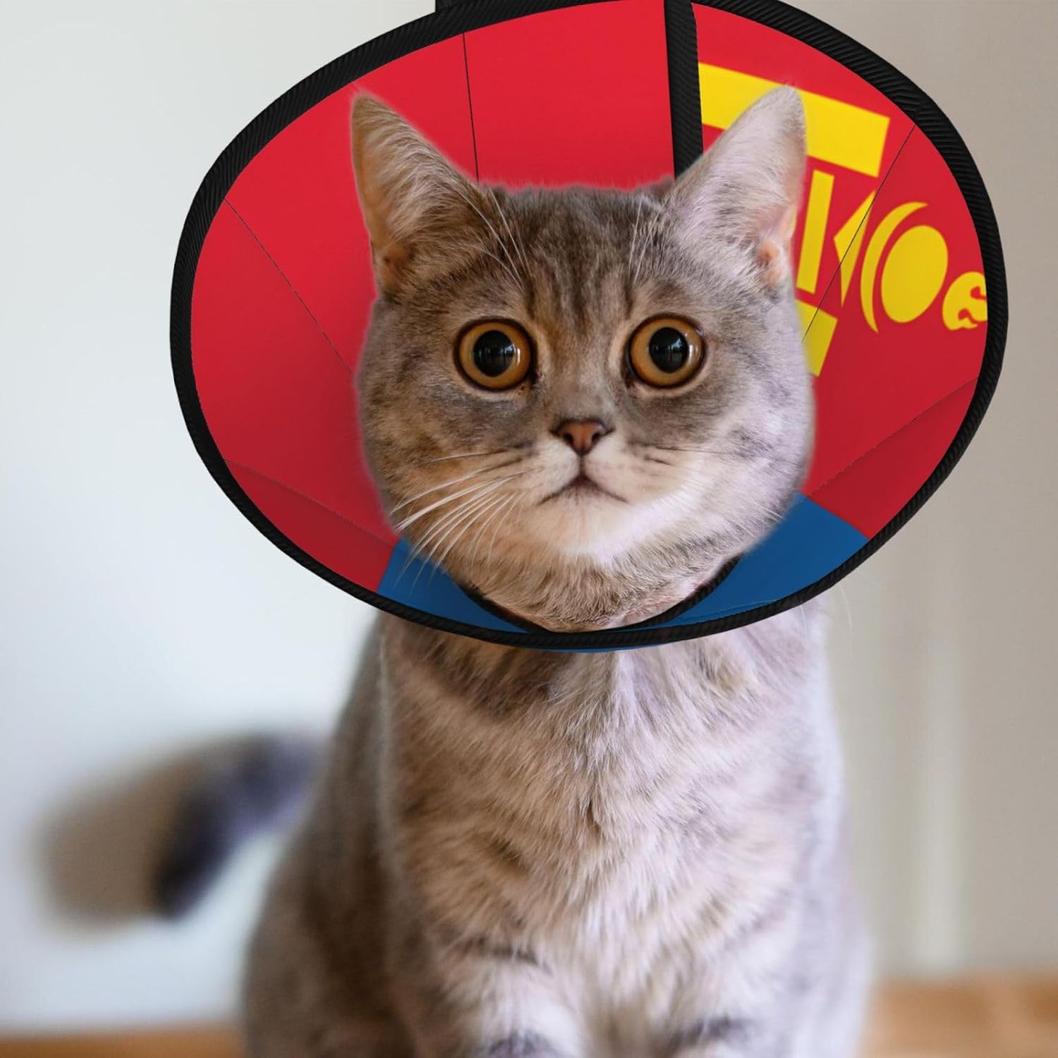 Custom Pet Cones - Unique Design Cat & Dog Cone, Collar for Post-Surgery Recovery, Adjustable Neck Mongolian Flag Large