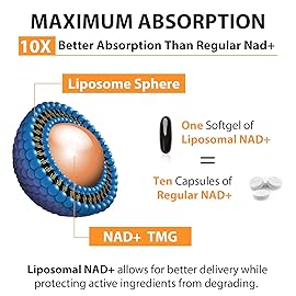 Orgabay Liposomal NAD+ Supplement 500 mg, High Absorption, Boost NAD+ with TMG 250 mg, Actual NAD Plus More Efficient Than Nicotinamide Riboside, Support Cellular Energy, Healthy Aging | 600 Softgels