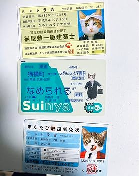 なめ猫カード 価格交渉受付中 なめ猫カード 価格交渉受付中 Amazon.co.jp: 物 復刻 なめ猫