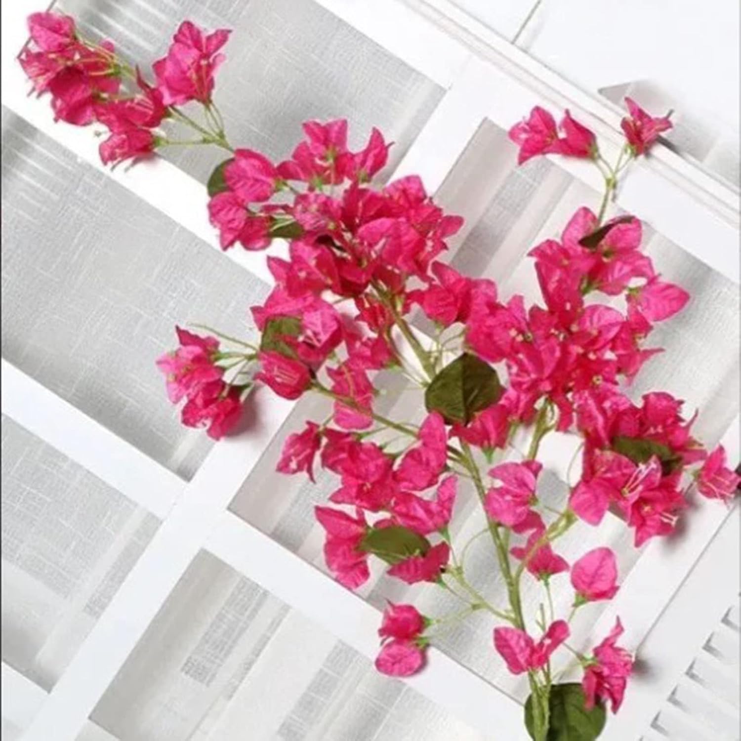 Flores