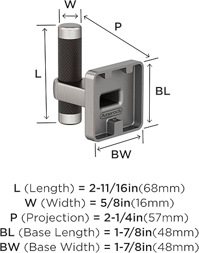 Vista 151 de Amerock BH26615PNBBZ Toallero de níquel pulido/champán dorado Toallero de 24 pulgadas (24.016 in) Esquire Toallero de baño Accesorios