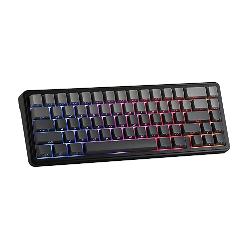 EPOMAKER x Aula F65 65% Wireless Mechanical Keyboard, Hot Swappable Gasket Custom Gaming Keyboard with Five-Layer Padding, RGB Backlit, Bluetooth/2.4GHz/USB-C (Black, Graywood V3 Switch) - Graywood V3 Switch - Black