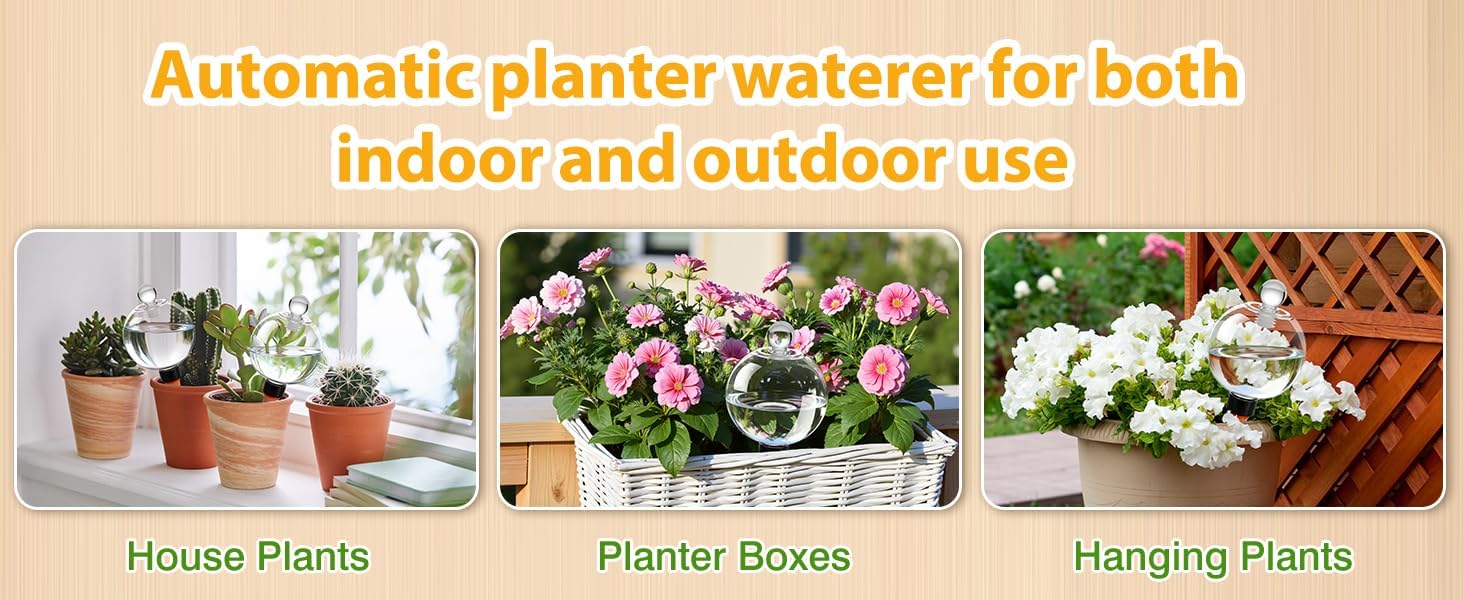 DI QIU REN 6 Pack 19oz Extra Large Self Watering Globes, Automatic Plant Waterer with Glass Stopper - Slow Release Watering Bulbs & Planter Insert, Top-Fill Water Spikes Stakes for Indoor Plants