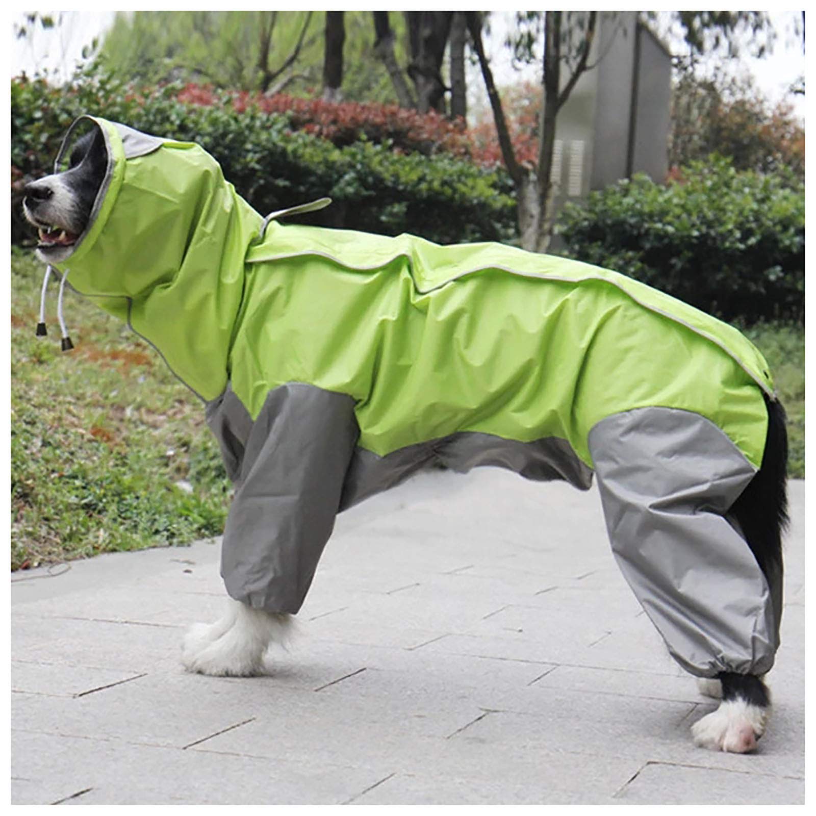 Imperméable à capuche pour chien veste de pluie amovible poncho vert 30