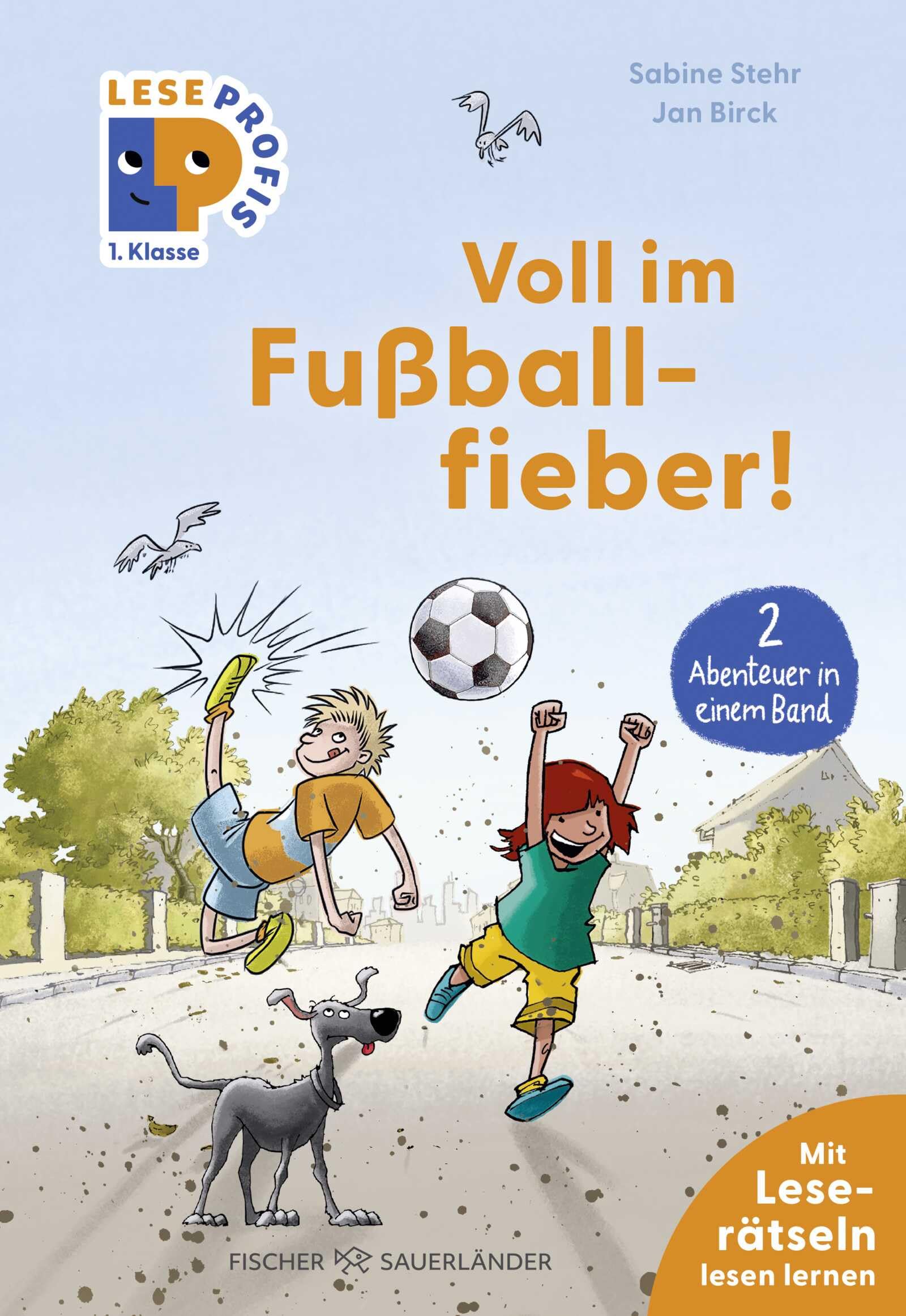 Leseprofis – Voll im Fußballfieber!, 1. Klasse (Doppelband): Kinderbuch zum Lesenlernen ab 6 Jahren (Lesen lernen 1. Klasse, Band 31)