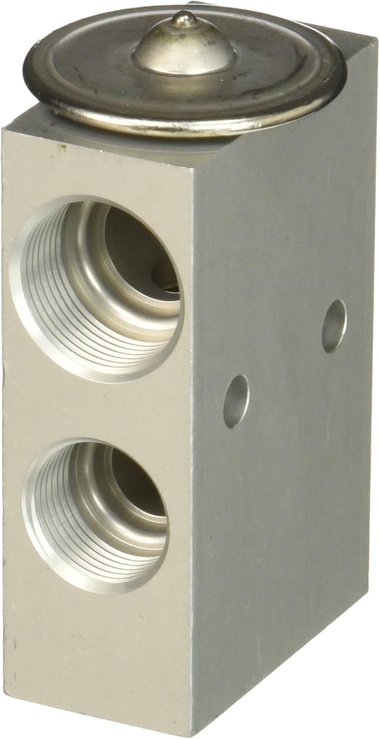 Motorcraft YG381 Expansion Valve