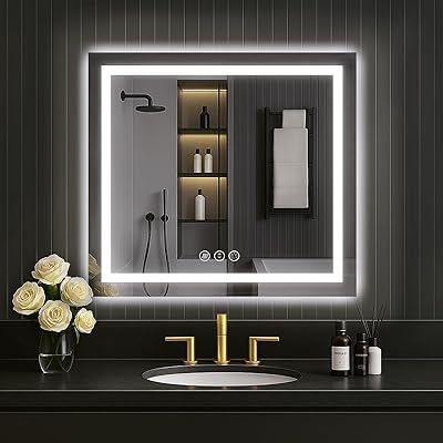 LOAAO 30"X30" LED Mirror for Bathroom, Lighted Bathroom Mirror with Lights, Anti-Fog, Dimmable, Memory Function, Easy to Install, Clear Reflection
