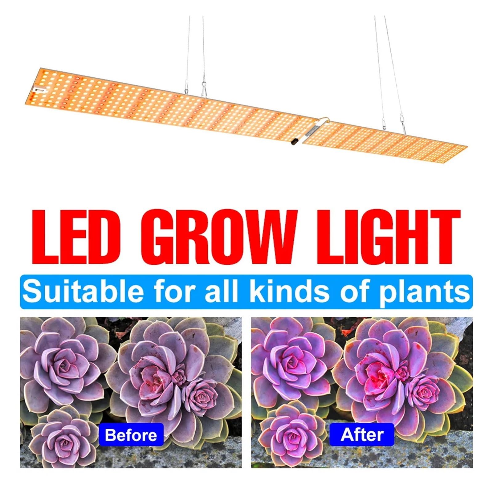 Lámpara de cultivo, Luz LED de cultivo de espectro completo, tablero cuántico, Phytolamp, lámpara de planta hidropónica de interior for verduras, invernadero de cultivo de flores(500W Full spectrum)
