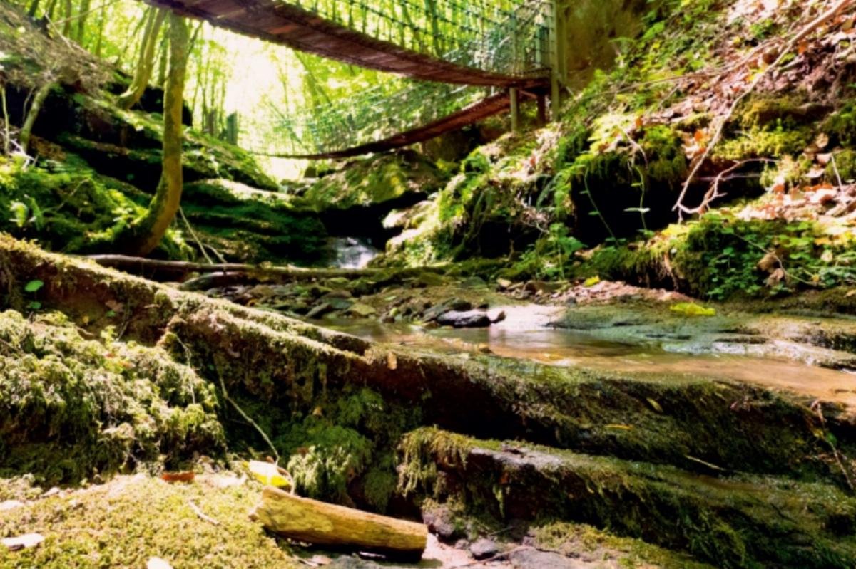 CALVENDO Butzerbachtal bei Bitburg